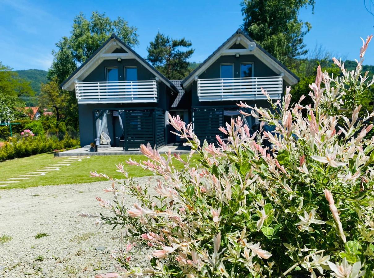 Vila Blizniakowka Brenna Exteriér fotografie